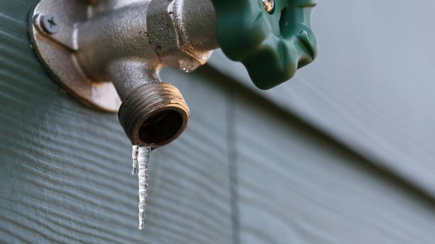 Best Commercial Plumbing Services  in Indian Hills, NV